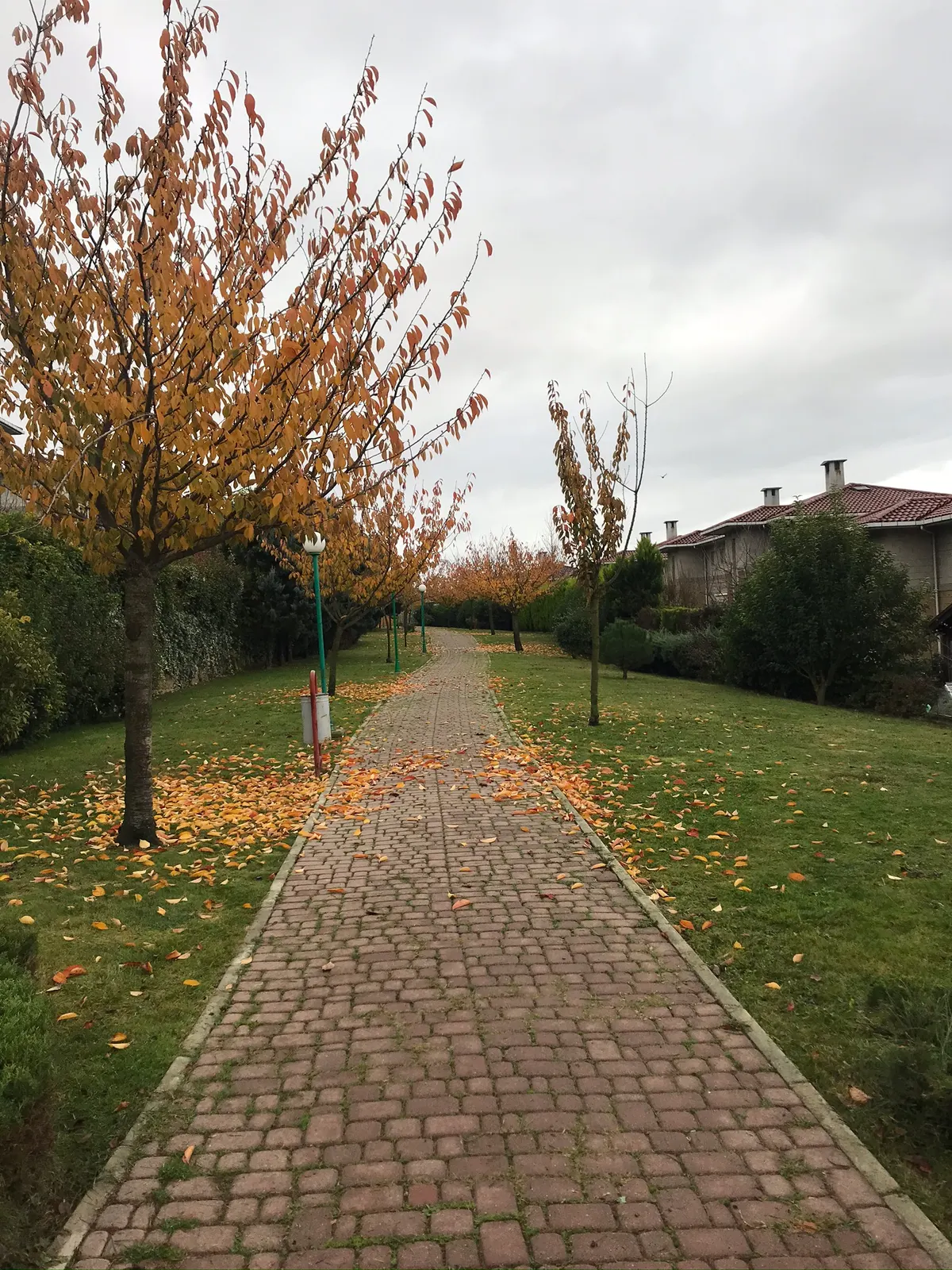 Tuzla Arkeon Evleri’nde ağaçlarla çevrili yürüyüş yolu ve çim alanlar