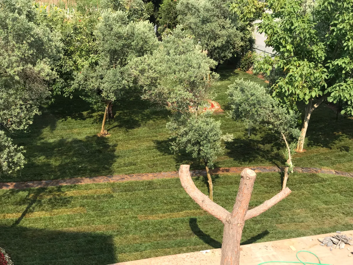 Beykoz villa bahçesinde ağaçlar arasında uzanan yürüyüş yolu ve çim alan