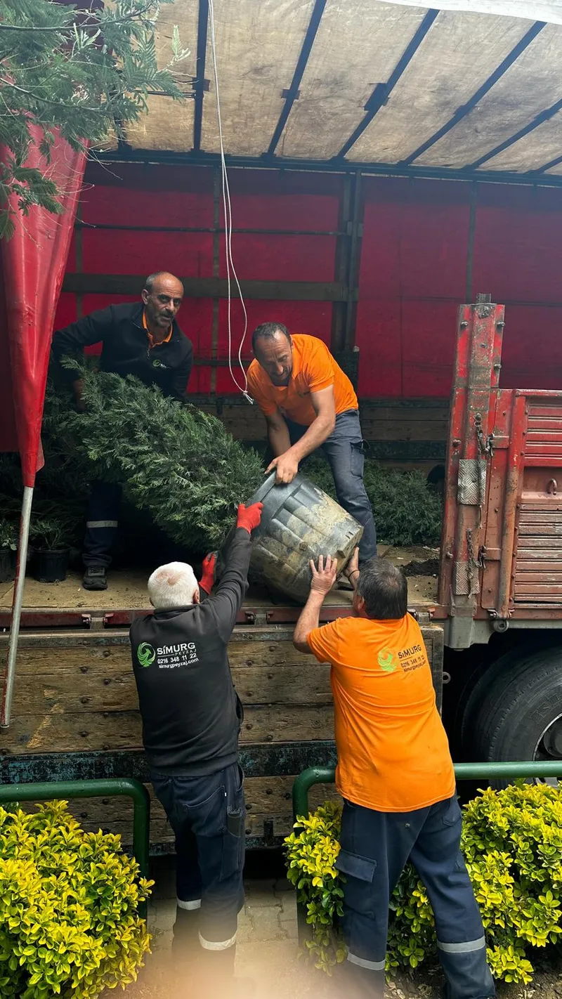 Simurg Peyzaj ekibi Mesa Maslak çalışmasında büyük saksılı bir bitkiyi araçtan indirirken